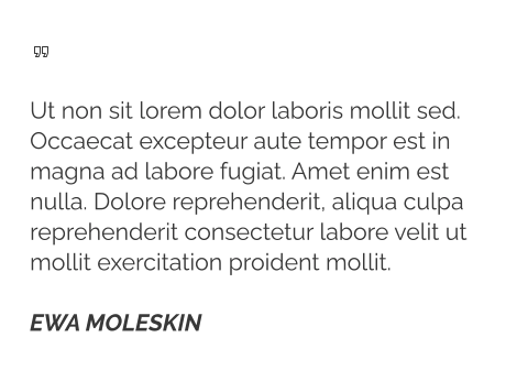   Ut non sit lorem dolor laboris mollit sed. Occaecat excepteur aute tempor est in magna ad labore fugiat. Amet enim est nulla. Dolore reprehenderit, aliqua culpa reprehenderit consectetur labore velit ut mollit exercitation proident mollit.  EWA MOLESKIN