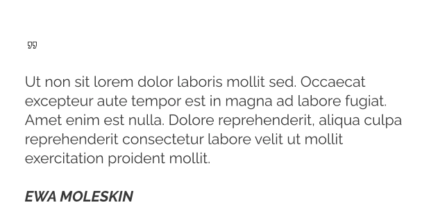   Ut non sit lorem dolor laboris mollit sed. Occaecat excepteur aute tempor est in magna ad labore fugiat. Amet enim est nulla. Dolore reprehenderit, aliqua culpa reprehenderit consectetur labore velit ut mollit exercitation proident mollit.  EWA MOLESKIN