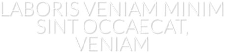LABORIS VENIAM MINIM SINT OCCAECAT, VENIAM